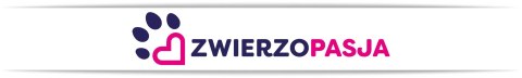 Silikonowy żwirek dla kota ZWIERZOPASJA komplet 5 X 3,8 L