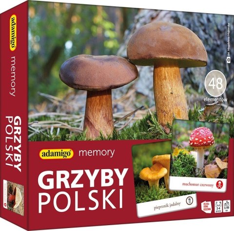 Gra Memory - Grzyby Polski