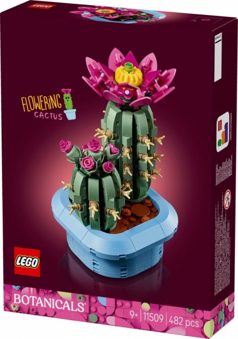 Klocki Botanicals 11509 Kwitnący kaktus