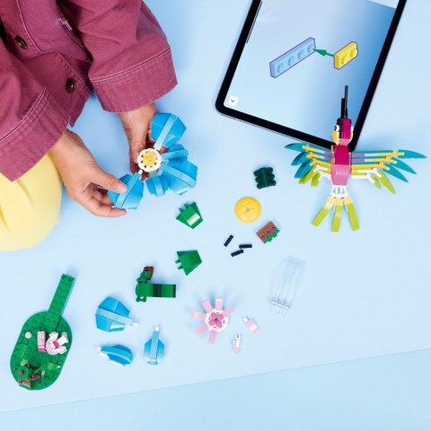 Klocki Creator 31384 Dzikie zwierzęta: kolorowy koliber