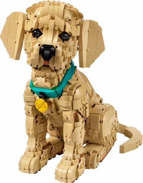Klocki Icons 11384 Szczeniak golden retriever
