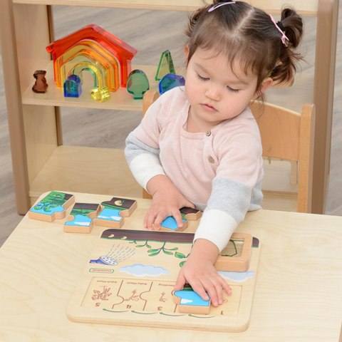 MASTERKIDZ Drewniana Tablica Cykl Życia Fasoli