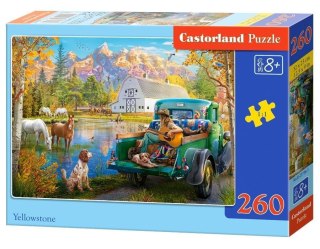 Puzzle 260 Yellowstone CASTOR