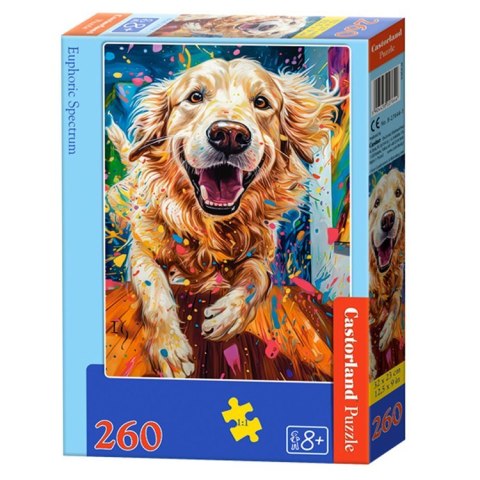 Puzzle 260-elementów Euphoric Spectrum B-27644-1