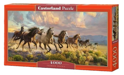 Puzzle 4000 Thunder Prairie CASTOR