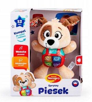Sprytny Piesek